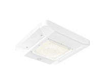 LED Canopy Light – CP Series (15" Wattage Adjustable)