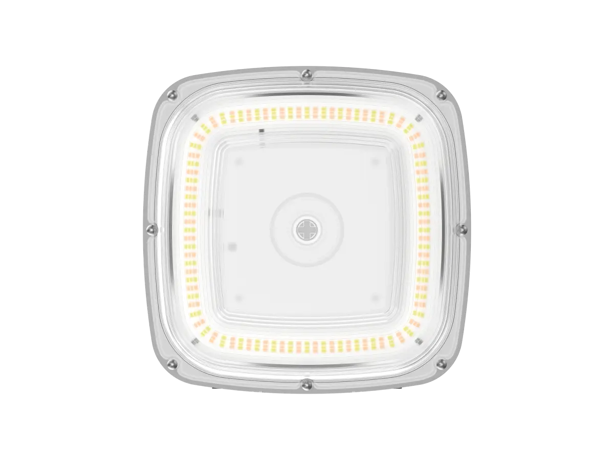 LED Garage & Canopy Light – G4 Series