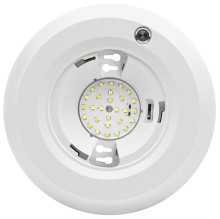 Emergency Disk Light 6 inch