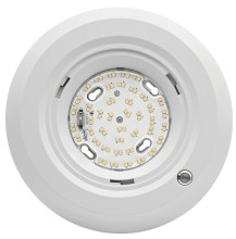Emergency Disk Light 8 inch