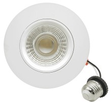 5CCT Gimbal Retrofit Kit Downlight 4 inch