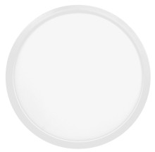 Die-cast Flush Mount 11inch