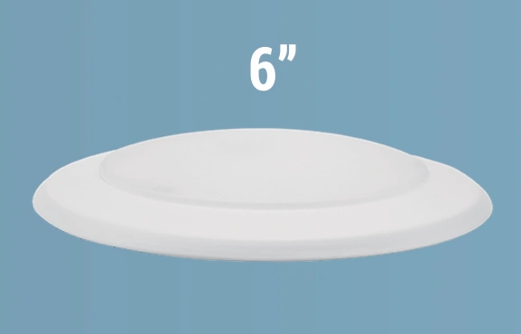 Disk Light 6inch